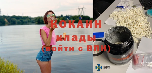 шишки Майский