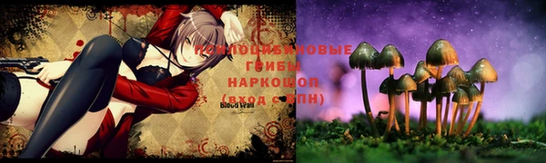 ECSTASY Заводоуковск