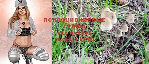 spice Заволжье