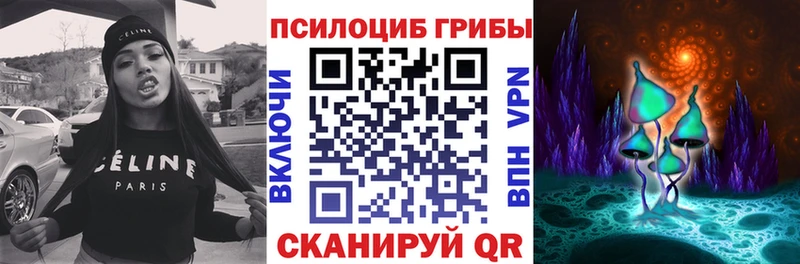 Купить  Инза  Псилоцибиновые грибы Psilocybe 